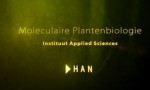 moleculaire plantenbiologie han
