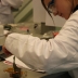 Voorronde european union science olympiad bij HAN HLO Voorronde european union science olympiad bij HAN HLO
