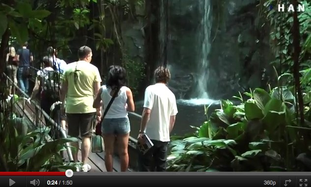 Videoblog: Kijk naar de natuur als inspiratiebron