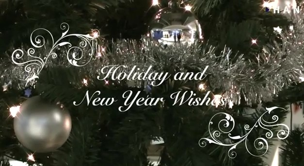 Videoblog: Holiday and New Year Wishes Arnhem Business School