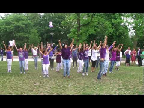 Kippevel: Flashmob het Vondelpark kleurt paars