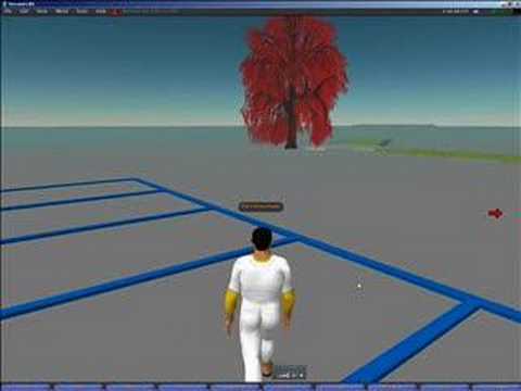 Harvard training in Second Life (mijn screencast)